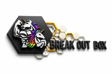 Break Out Box